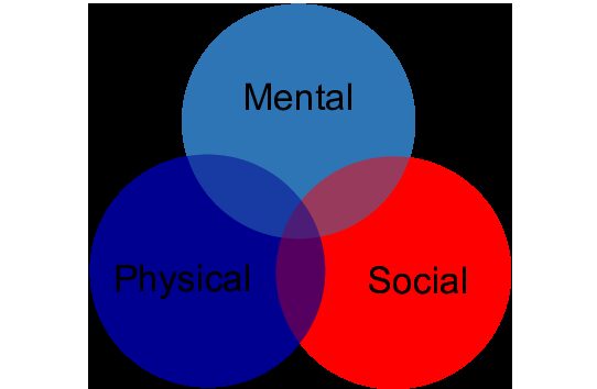 Venn diagram of Mental, Physical, and Social impacts